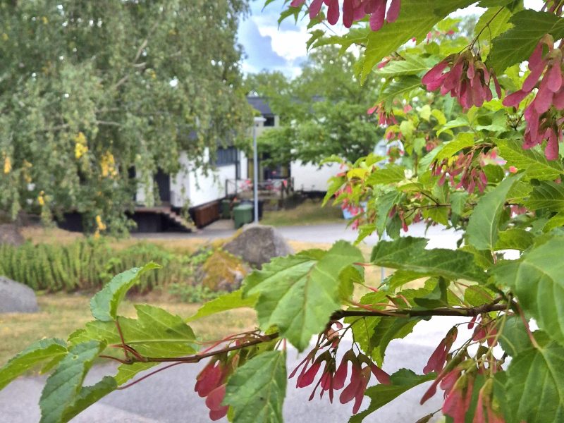 Platser kvar – sök nu till höstens kurser